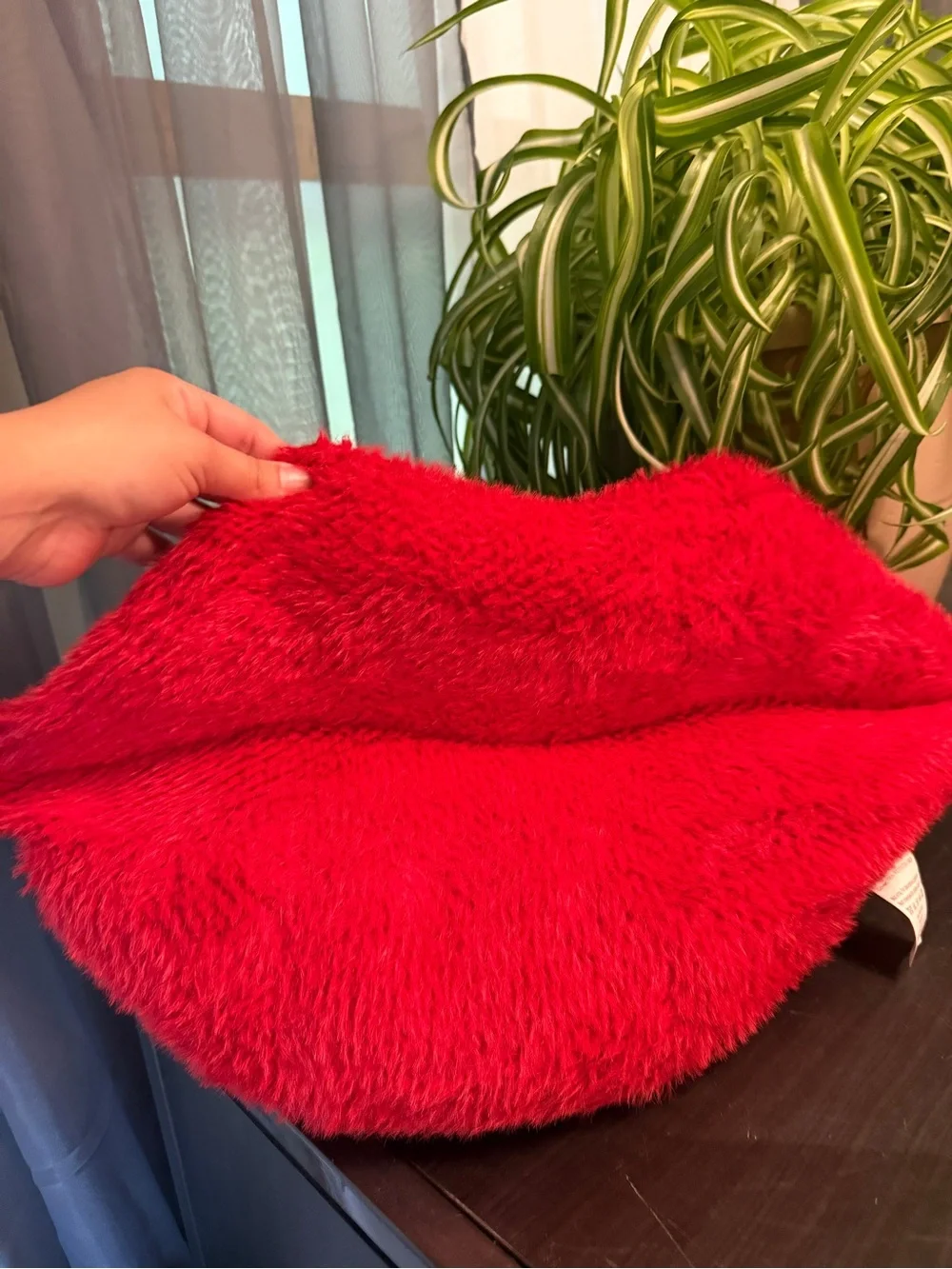 Red Plush Lip Pillow Decorative Accent